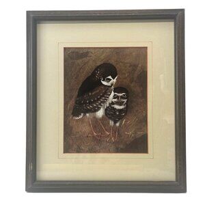 Richard Hinger Burrowing Owls Vintage Framed Art MCM 16.5" x 14.5" Farm House